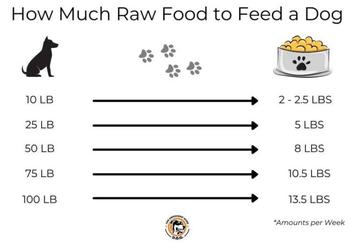 how much food to feed dog on raw diet